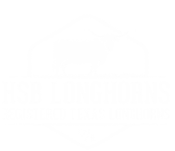 Welcome to HSB Longhorns! - hsblonghorns Logo